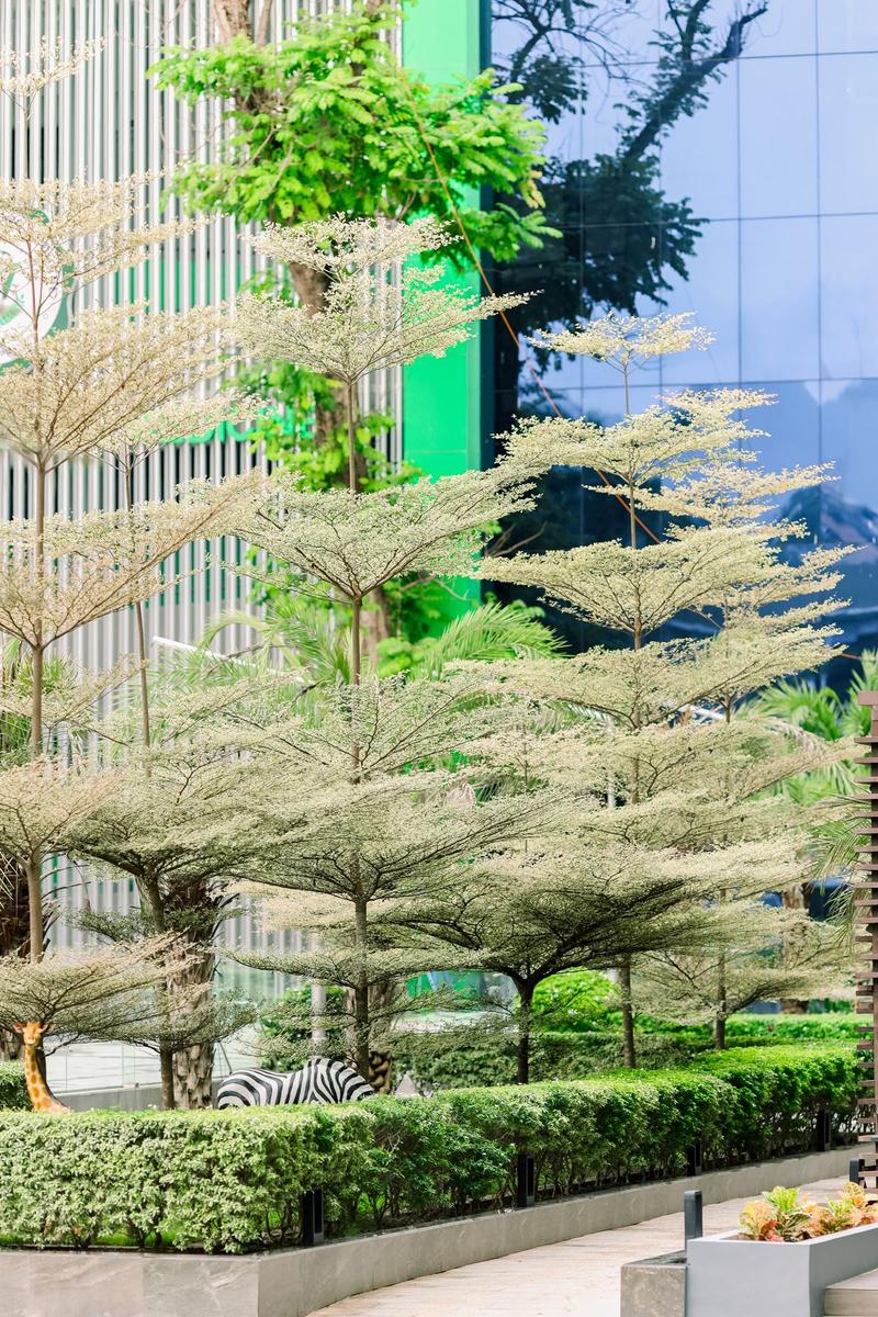 Why Cebu City is the Best Location for MBBS in Philippines